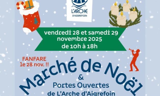 Marché de Noël de l&rsquo;Arche d&rsquo;Aigrefoin