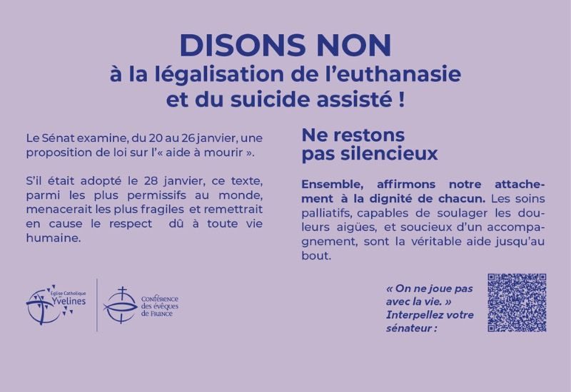 gabarit non a l’euthanasie